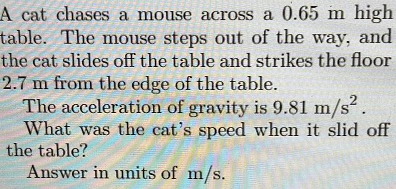 A cat chases a mouse across