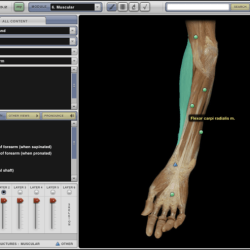 Anatomy and physiology revealed 4.0