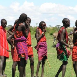 Traditional maasai society is organized according to