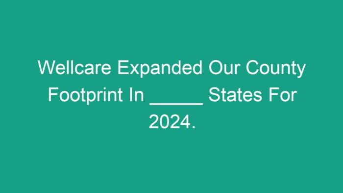 Wellcare expanded our county footprint in states for 2024